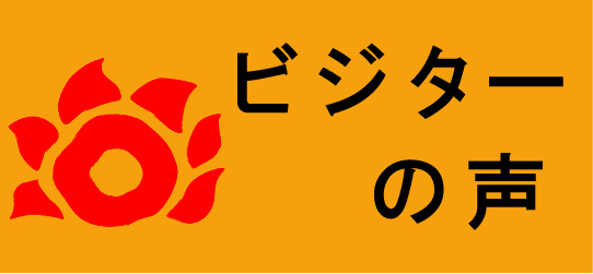 �ӥ���������